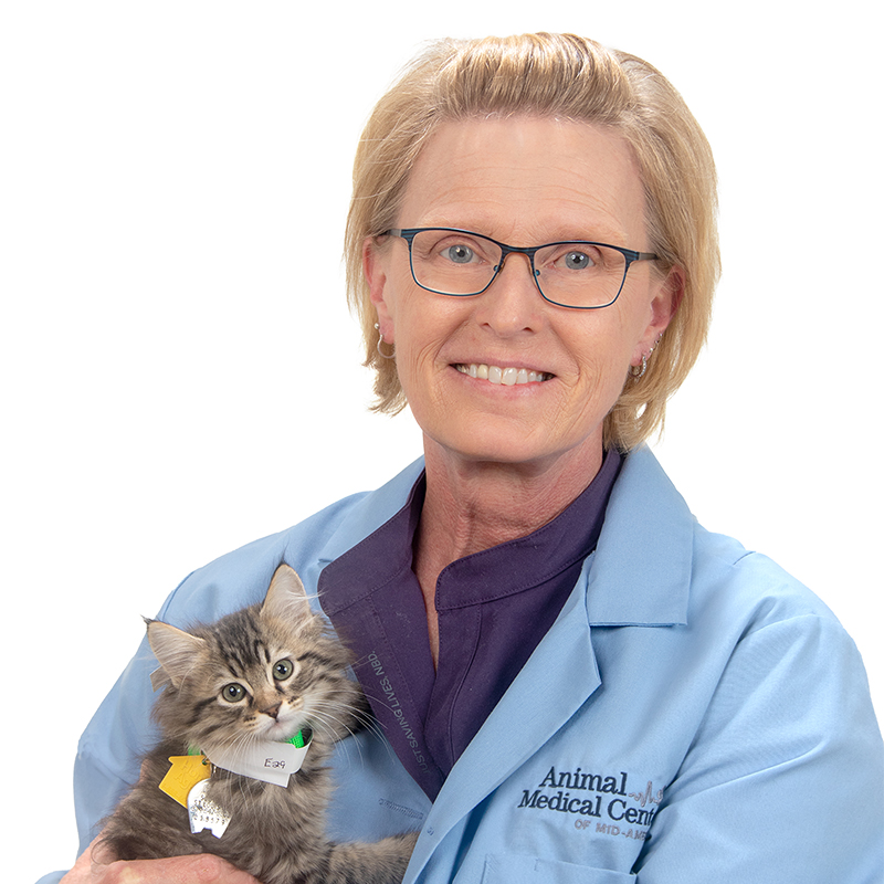 Dr. Gina Hale