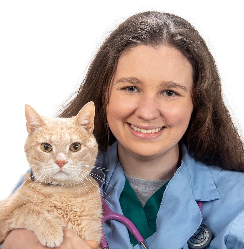 Dr. Michelle Sullivan