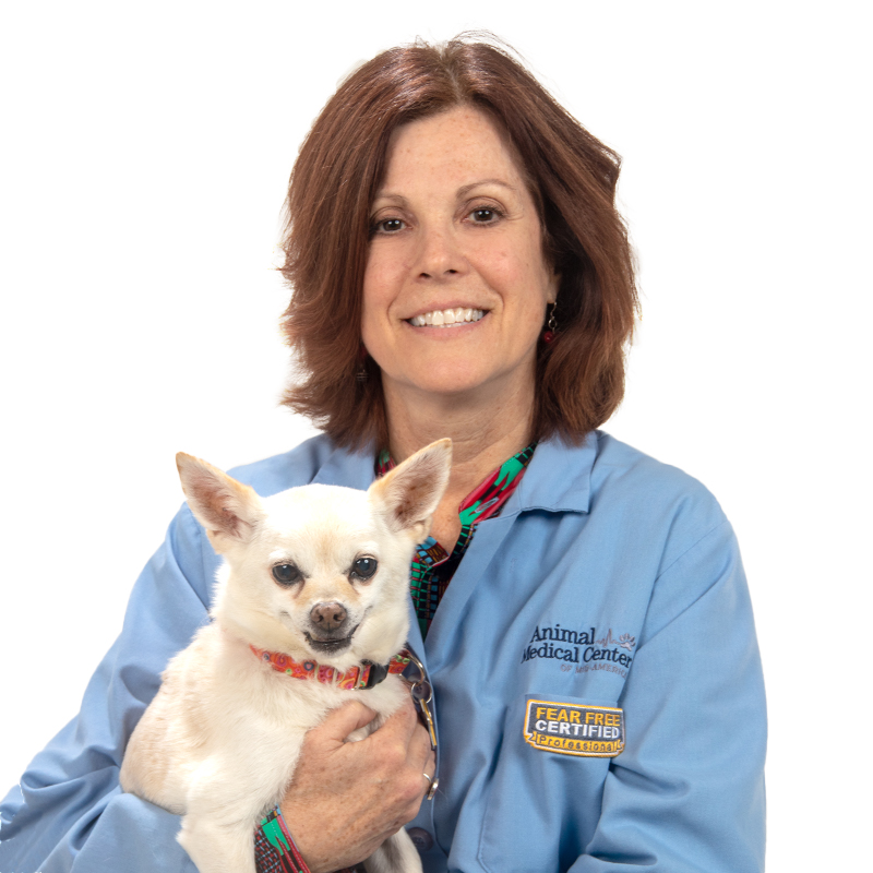 Dr. Nicole Fulcher