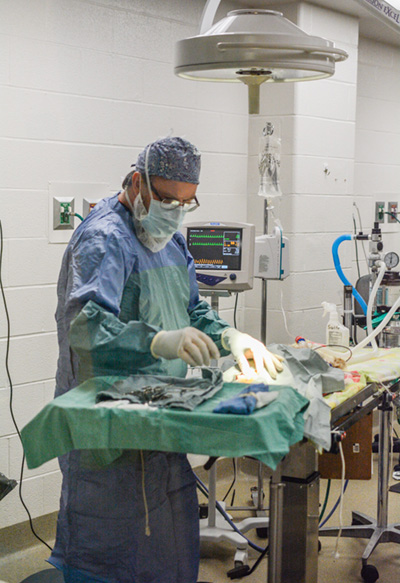 Surgery - Animal Medical Center of Mid-America Surgery - Animal Medical Center of Mid-America